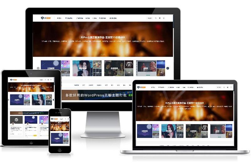 WordPress付费资源下载主题:ripro8.7最新破解版插图 WordPress付费资源下载主题:ripro8.7最新破解版插图