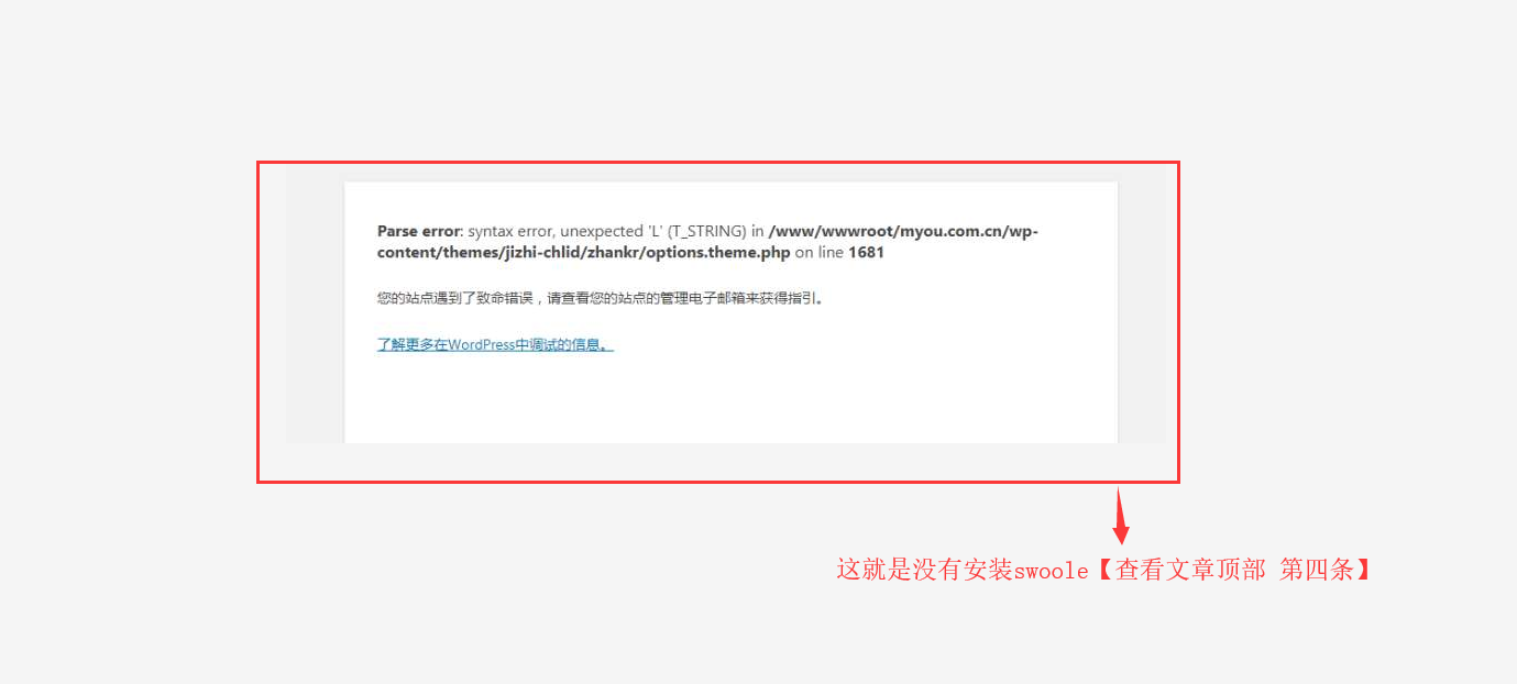 RiPro安装说明与常见错误解决方法插图
