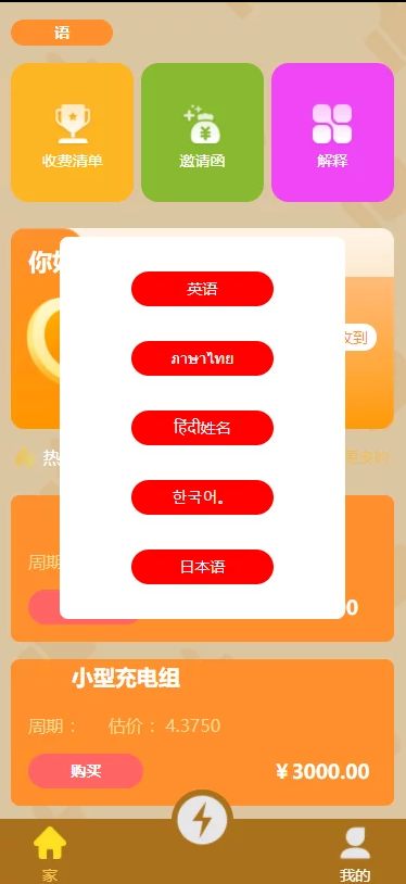 优化版多语言街电/支付已接/带教程插图