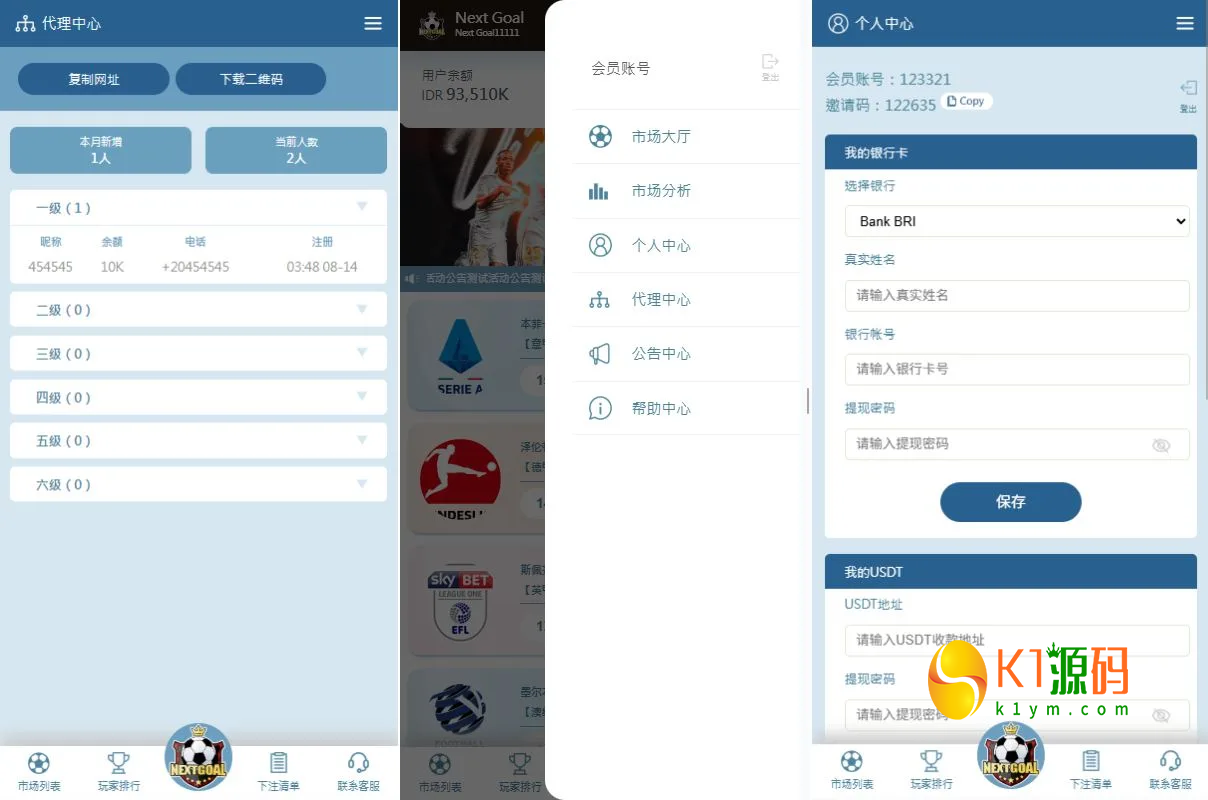 PC自适应反波胆系统/球盘源码/多级分销/充值返点插图3