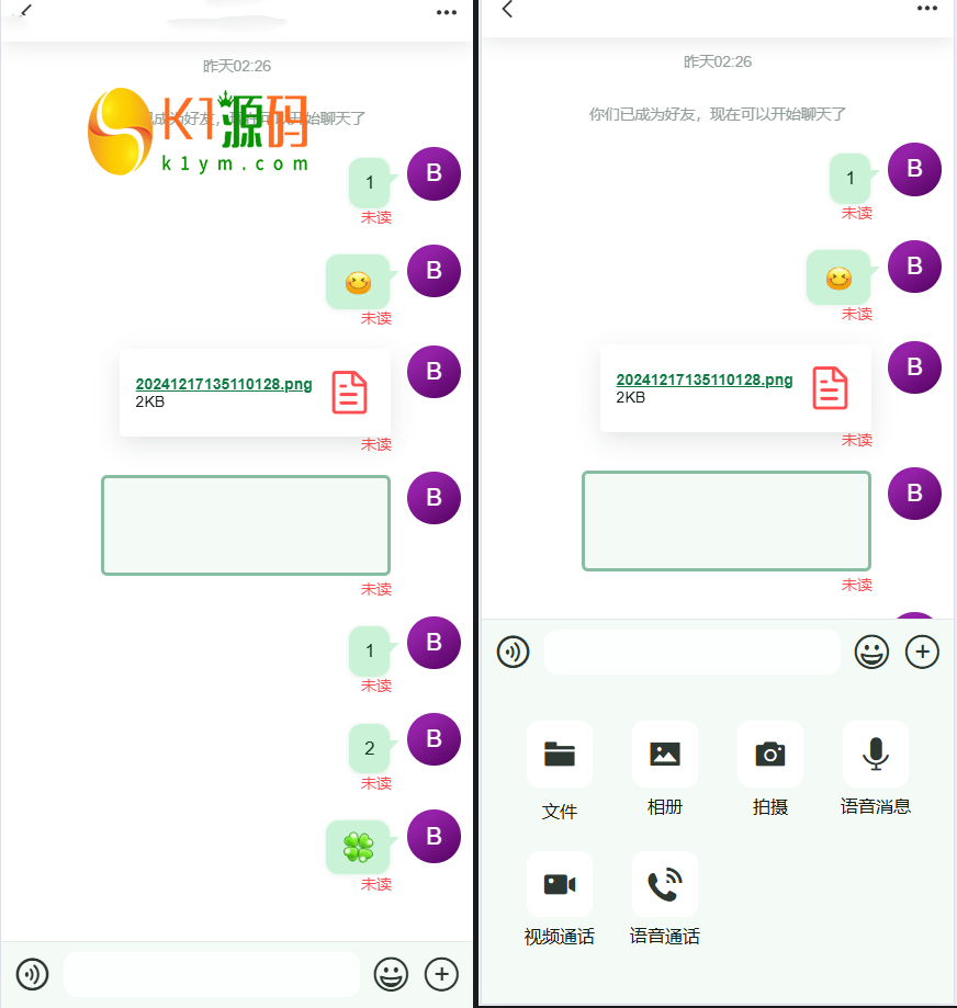 全新开源即时通讯IM源码【亲测源码】插图1