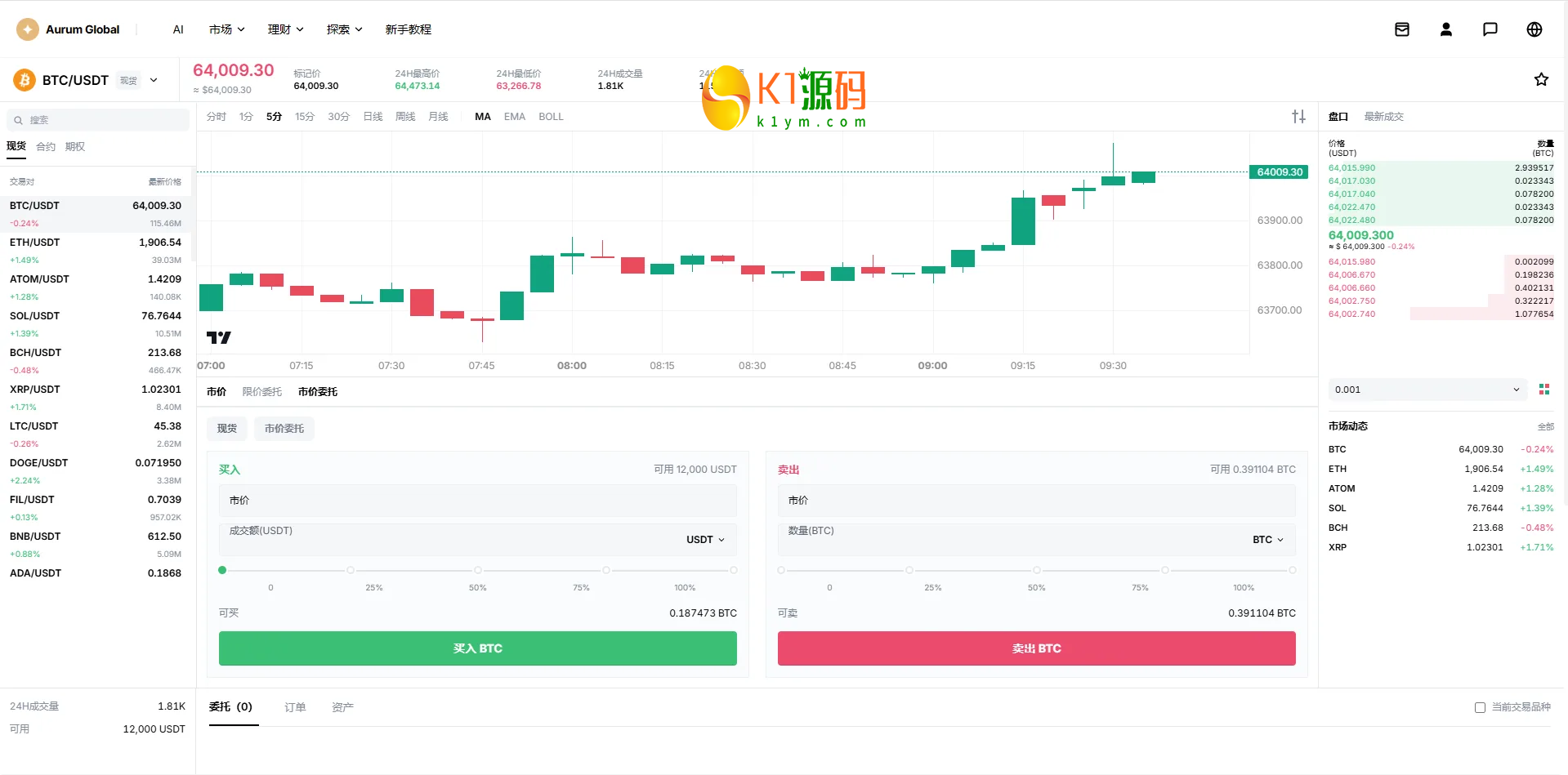 VUE+JAVA多语言综合交易所源码DAPP合约模拟账户量化跟单借贷插图3